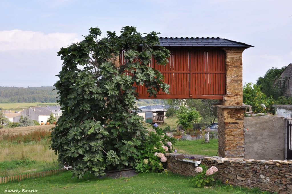 Apartamentos A Palleira باريروس المظهر الخارجي الصورة